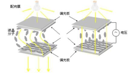 液晶显示器结构图
